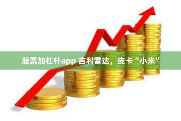 股票加杠杆app 吉利雷达，皮卡“小米”