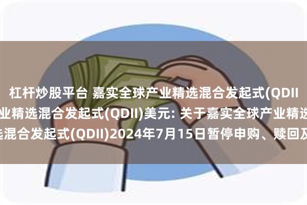 杠杆炒股平台 嘉实全球产业精选混合发起式(QDII)人民币,嘉实全球产业精选混合发起式(QDII)美元: 关于嘉实全球产业精选混合发起式(QDII)2024年7月15日暂停申购、赎回及定期定额投资业务的公告