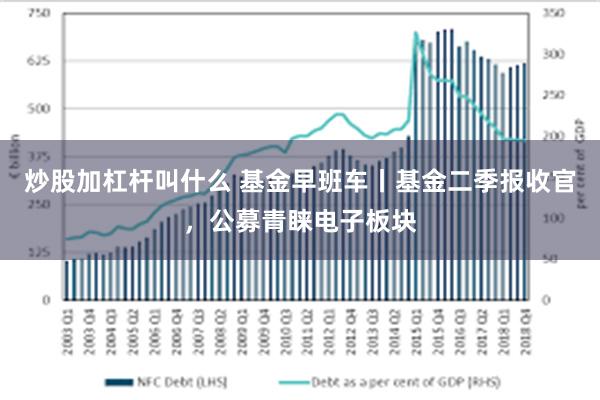 炒股加杠杆叫什么 基金早班车丨基金二季报收官，公募青睐电子板块