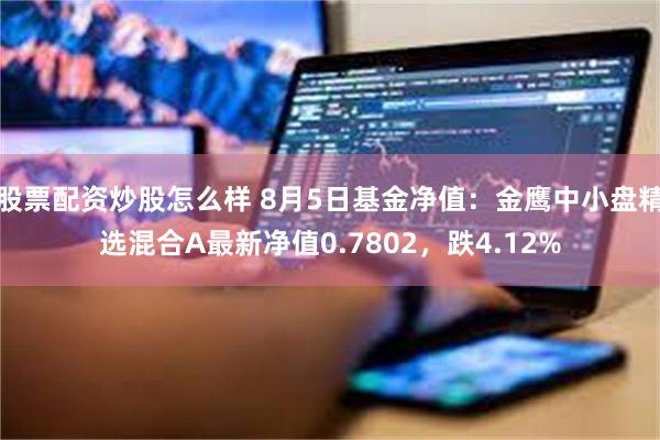 股票配资炒股怎么样 8月5日基金净值：金鹰中小盘精选混合A最新净值0.7802，跌4.12%