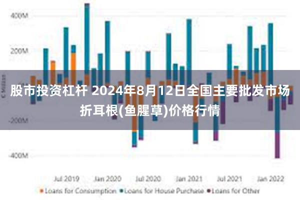 股市投资杠杆 2024年8月12日全国主要批发市场折耳根(鱼腥草)价格行情