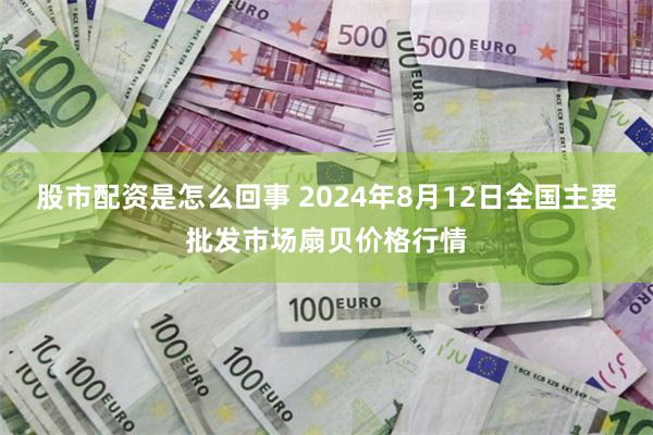 股市配资是怎么回事 2024年8月12日全国主要批发市场扇贝价格行情