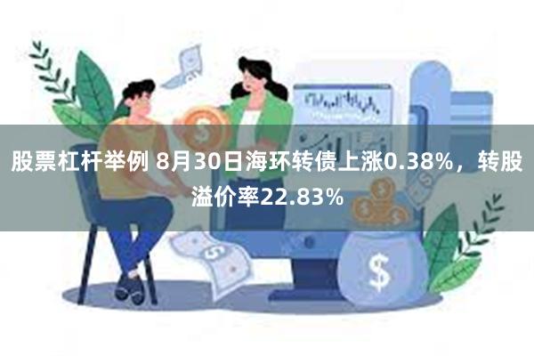 股票杠杆举例 8月30日海环转债上涨0.38%，转股溢价率22.83%