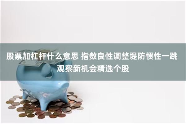 股票加杠杆什么意思 指数良性调整堤防惯性一跳 观察新机会精选个股