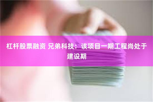 杠杆股票融资 兄弟科技：该项目一期工程尚处于建设期