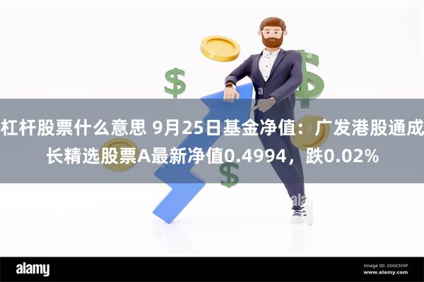 杠杆股票什么意思 9月25日基金净值：广发港股通成长精选股票A最新净值0.4994，跌0.02%