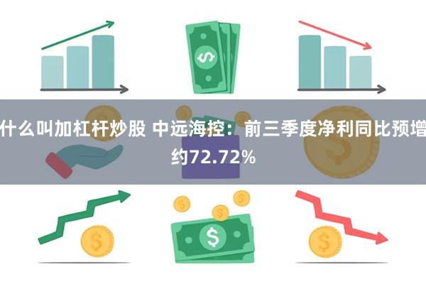 什么叫加杠杆炒股 中远海控：前三季度净利同比预增约72.72%