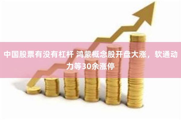 中国股票有没有杠杆 鸿蒙概念股开盘大涨，软通动力等30余涨停