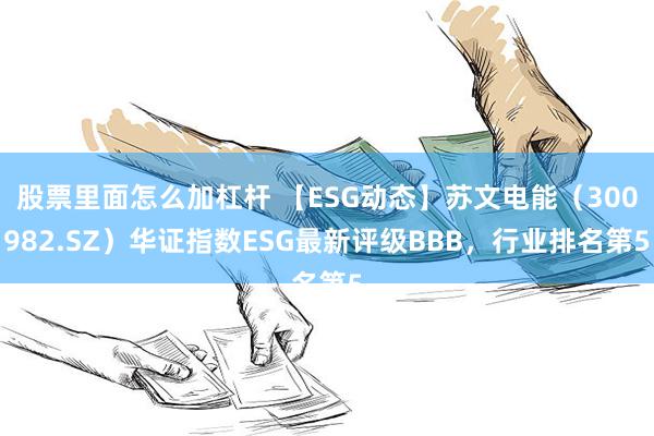 股票里面怎么加杠杆 【ESG动态】苏文电能（300982.SZ）华证指数ESG最新评级BBB，行业排名第5