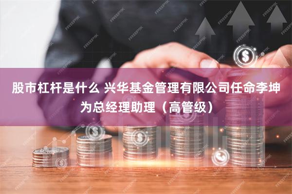 股市杠杆是什么 兴华基金管理有限公司任命李坤为总经理助理（高管级）