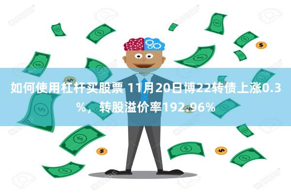 如何使用杠杆买股票 11月20日博22转债上涨0.3%，转股溢价率192.96%