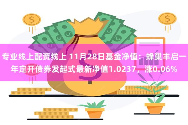 专业线上配资线上 11月28日基金净值：蜂巢丰启一年定开债券发起式最新净值1.0237，涨0.06%