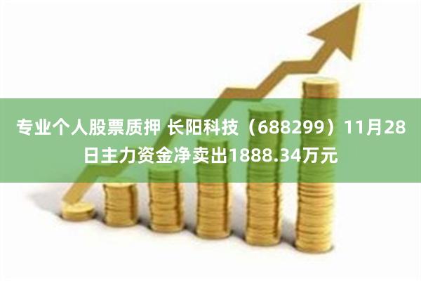 专业个人股票质押 长阳科技（688299）11月28日主力资金净卖出1888.34万元