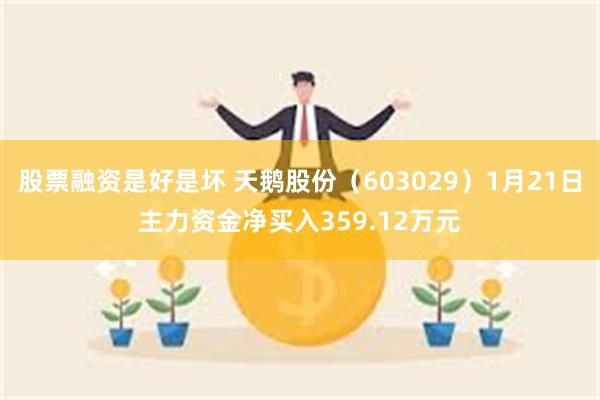 股票融资是好是坏 天鹅股份（603029）1月21日主力资金净买入359.12万元